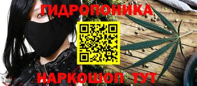 ПСИЛОЦИБИНОВЫЕ ГРИБЫ Заводоуковск