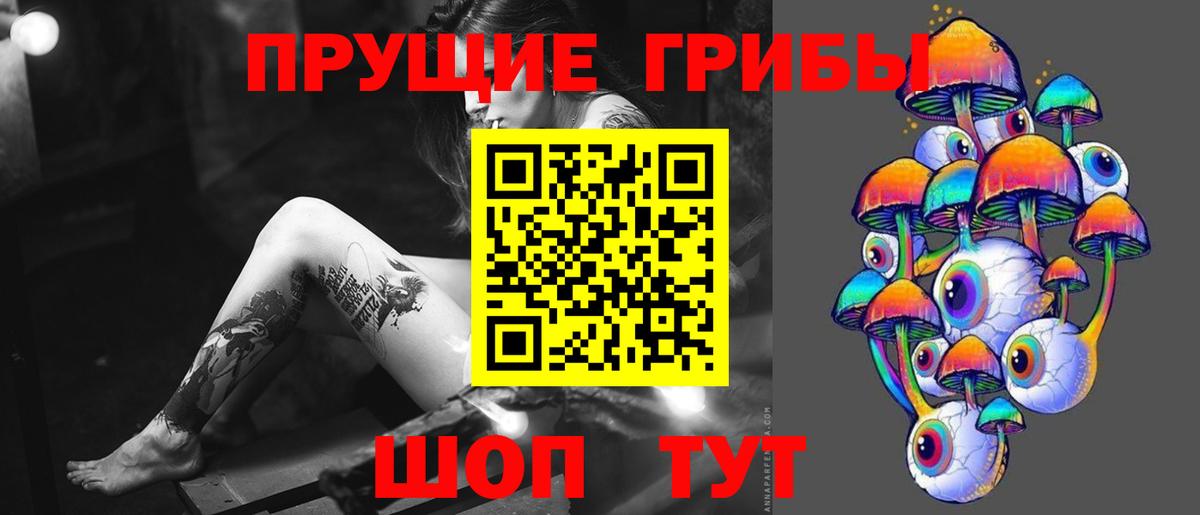 Псилоцибиновые грибы GOLDEN TEACHER  Вход с VPN  Воскресенск 